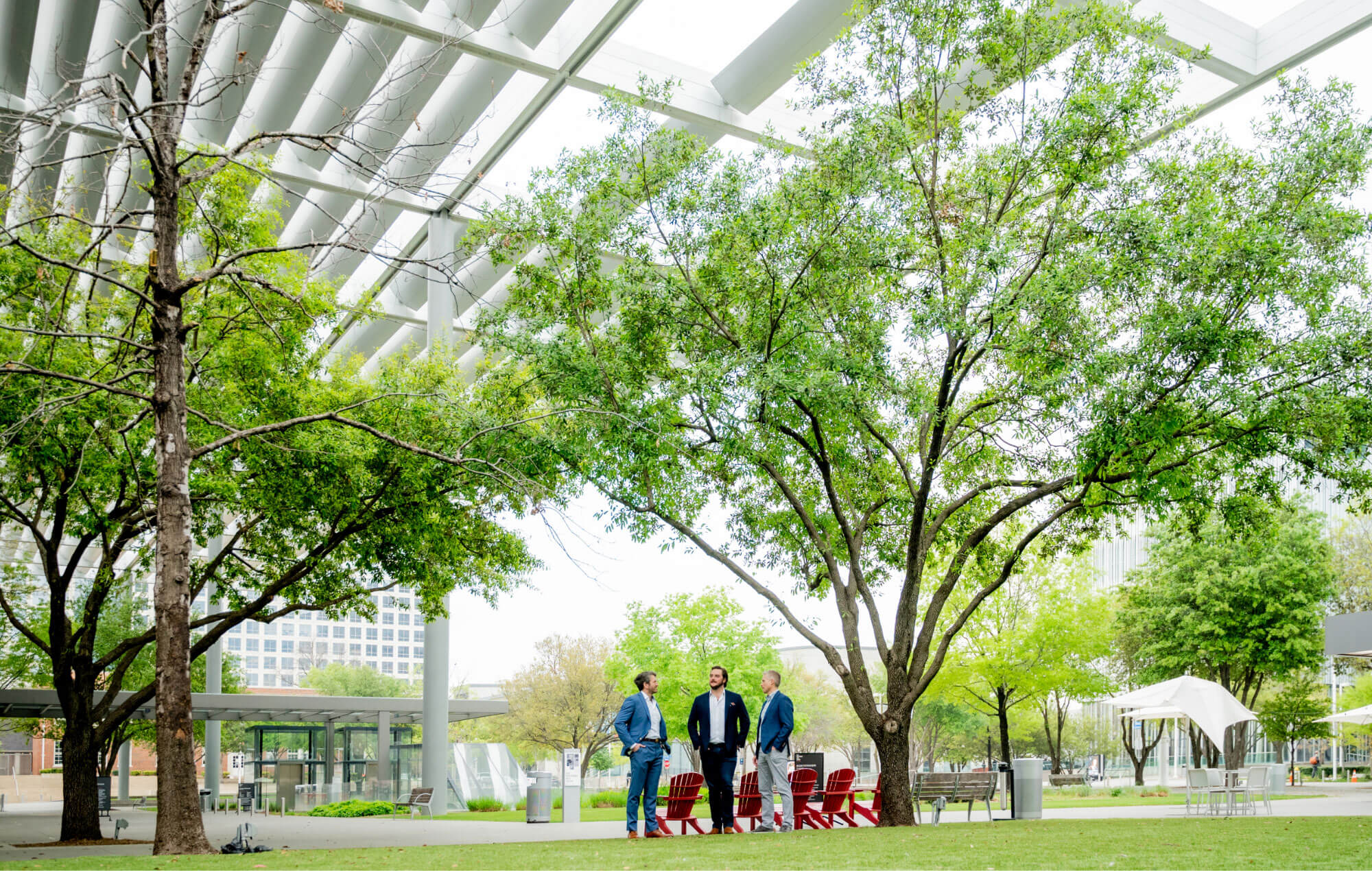 3 businessmen standing under a tree in large courtyard